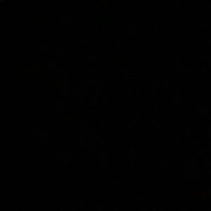 Meet your Posher, Richard